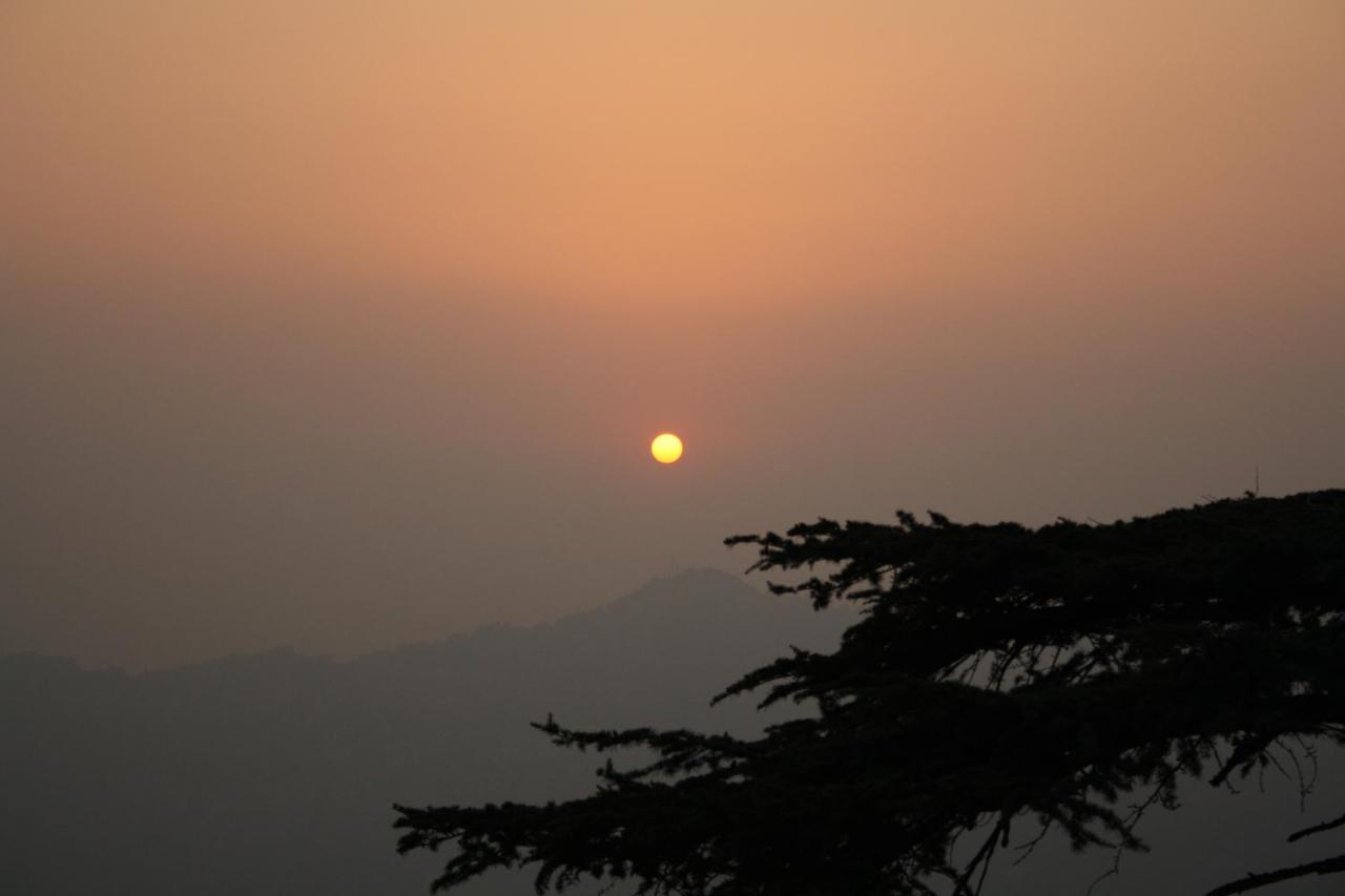 Honeymoon Inn Shimla Exterior photo